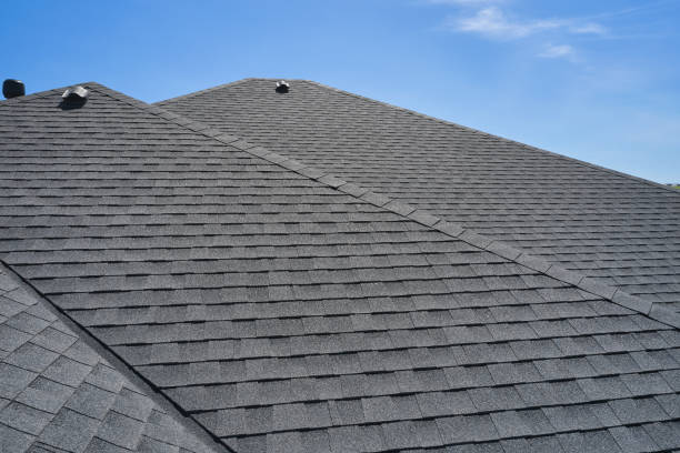 Best Sheet Metal Roofing  in Cannon Falls, MN