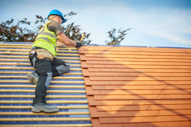 Best Asphalt Shingles Roofing  in Cannon Falls, MN